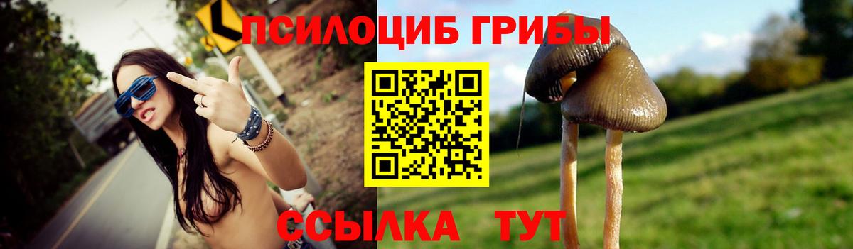 Галлюциногенные грибы MAGIC MUSHROOMS  Вход с VPN  Кунгур  Галлюциногенные грибы Psilocybe 